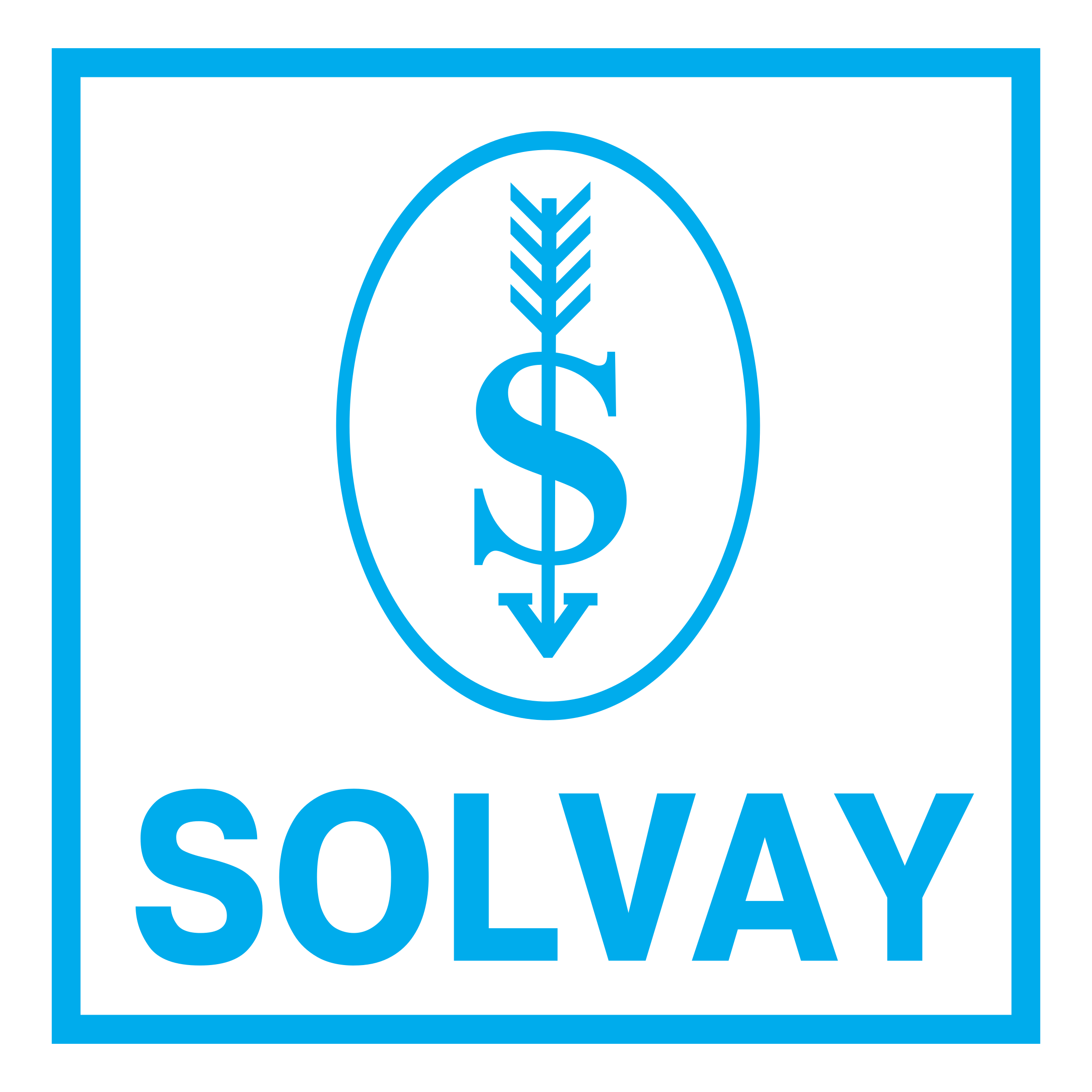 Solvay Logo
